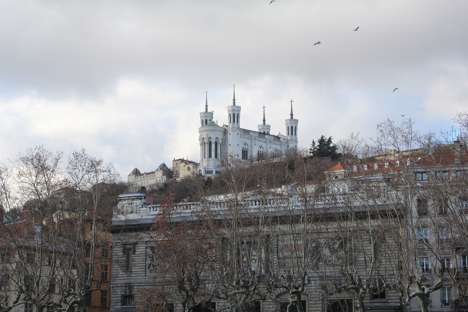 Vue de Lyon